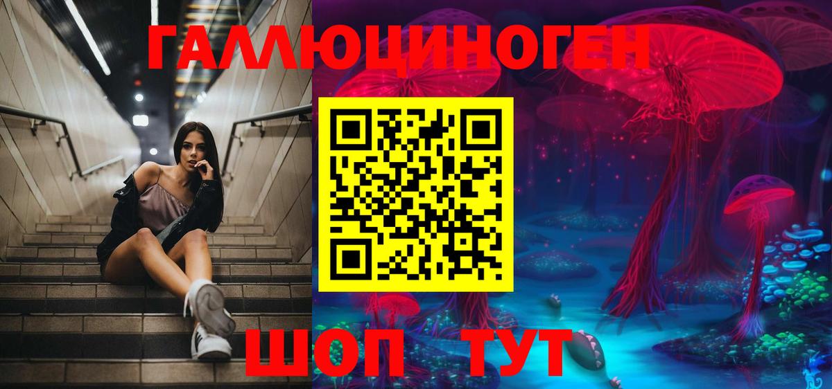 Галлюциногенные грибы Psilocybe  Псилоцибиновые грибы Psilocybine cubensis  Вход с VPN  Тимашёвск 